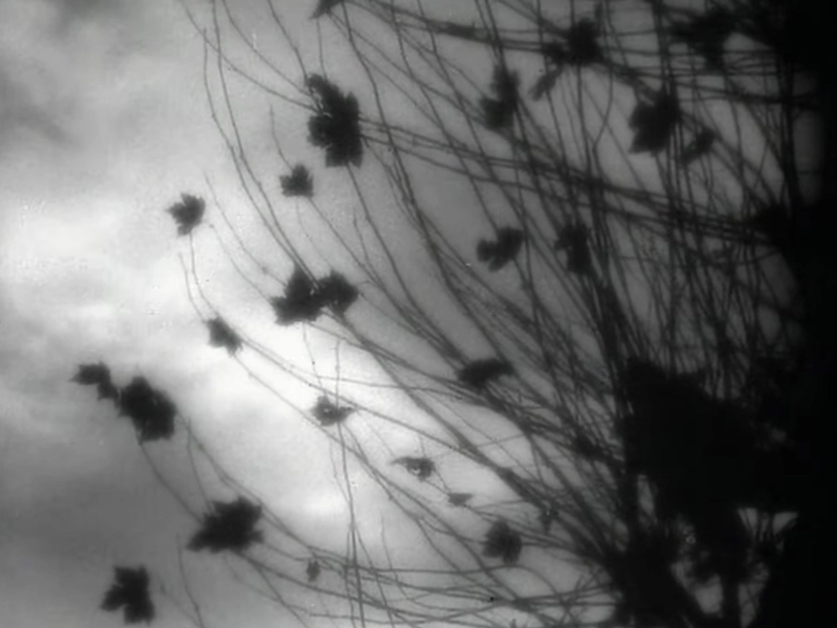 Ménilmontant + Brumes d’Automne